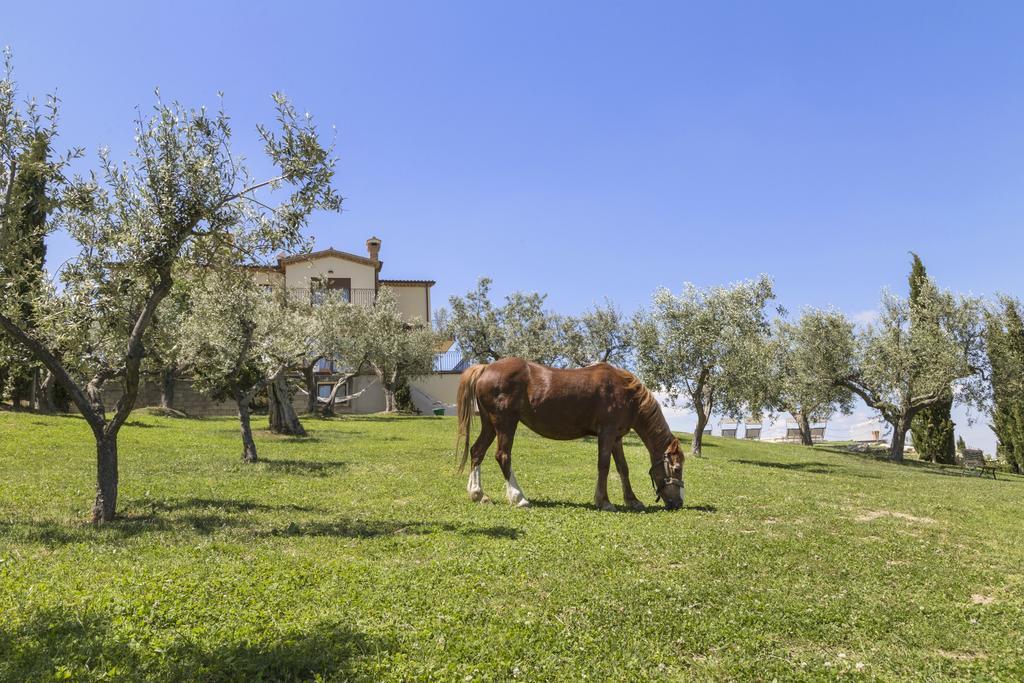 Agriturismo Le Bosche San Marino Exteriér fotografie