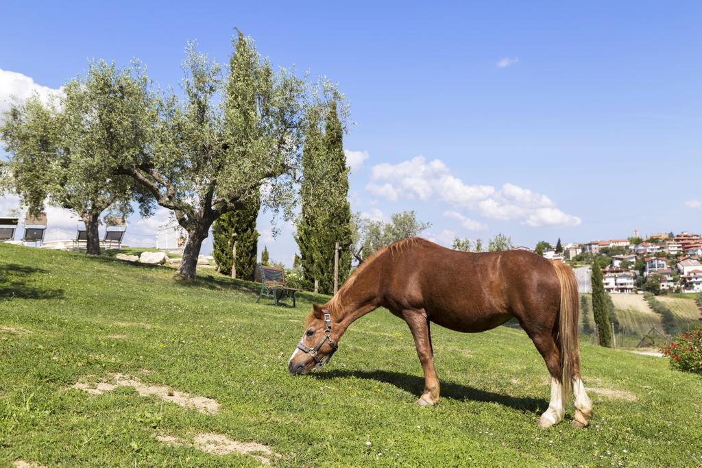Agriturismo Le Bosche San Marino Exteriér fotografie