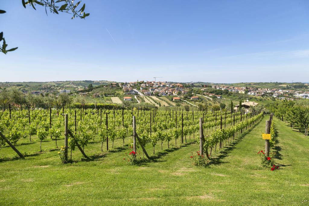 Agriturismo Le Bosche San Marino Exteriér fotografie