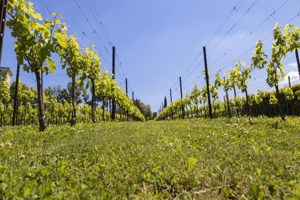 Agriturismo Le Bosche San Marino Exteriér fotografie